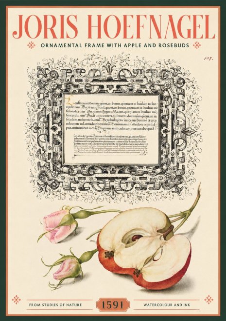 Joris Hoefnagel Illuminated Calligraphy and Botanical Study No3 - Affiche