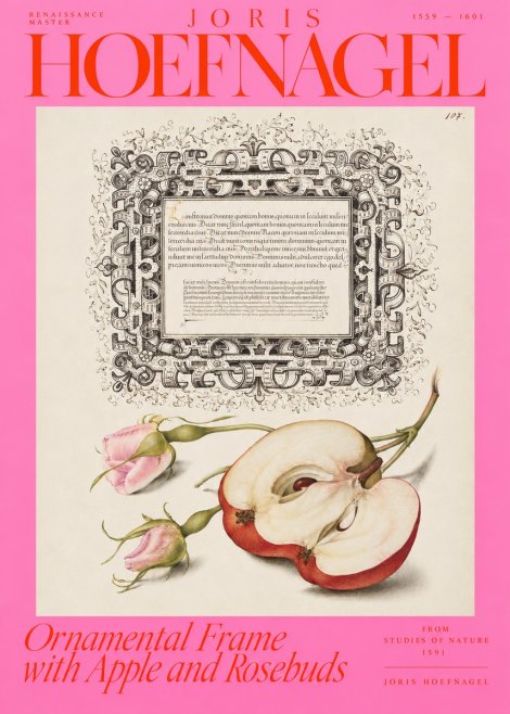 Joris Hoefnagel Illuminated Calligraphy and Botanical Study No4 - Affiche