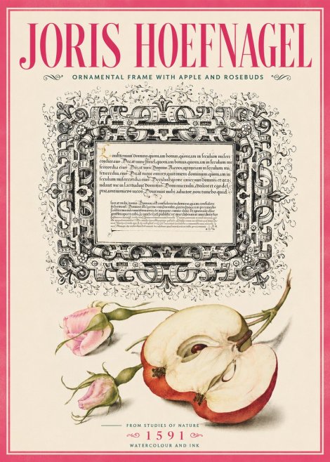 Joris Hoefnagel Illuminated Calligraphy and Botanical Study No6 - Affiche