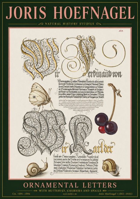 Joris Hoefnagel Ornamental Letters with Butterfly, Cherries and Snails No5 - Affiche