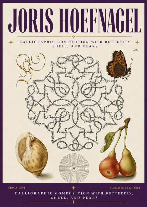 Joris Hoefnagel Calligraphic Composition with Butterfly, Shell, and Pears No6 - Affiche