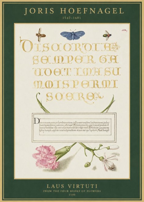 Joris Hoefnagel Laus Virtuti No1 - Affiche
