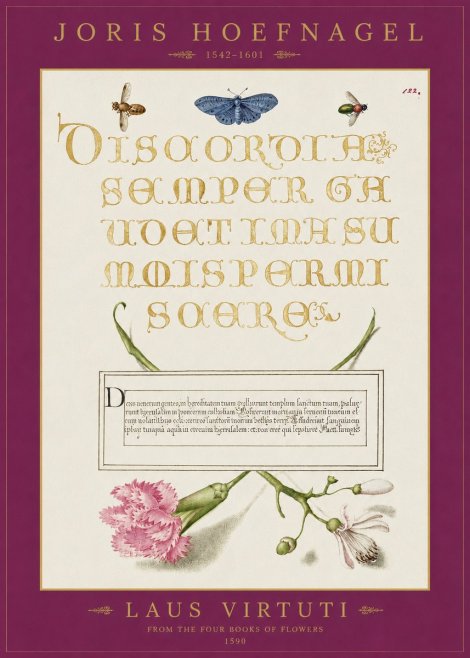 Joris Hoefnagel Laus Virtuti No2 - Affiche