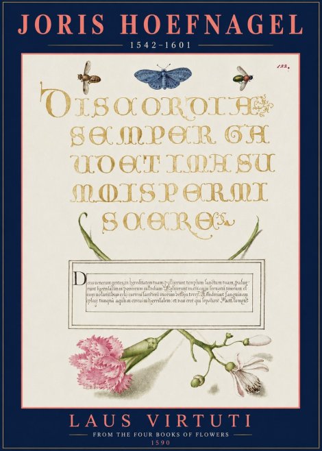 Joris Hoefnagel Laus Virtuti No3 - Affiche