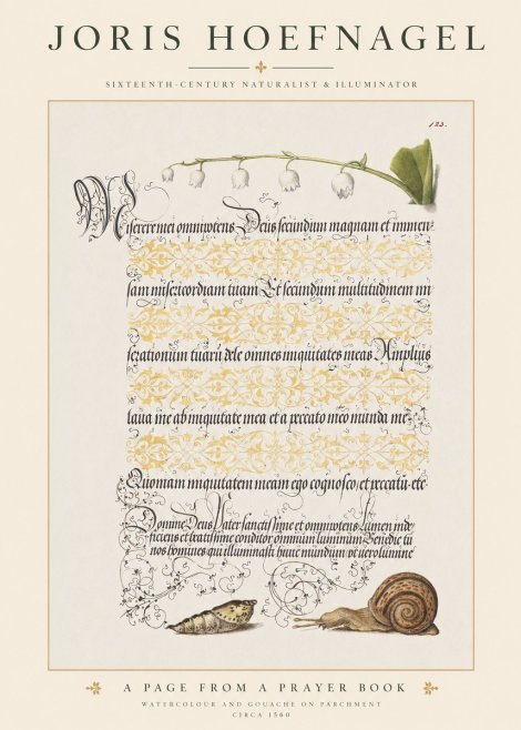 Joris Hoefnagel Lily of the Valley, Snail and Caterpillar No6 - Affiche