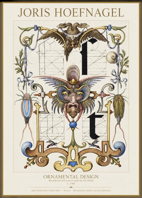 Joris Hoefnagel Ornamental Design II No1 - Affiche