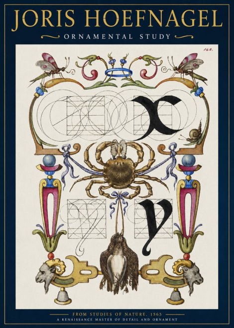 Joris Hoefnagel Ornamental Study II No2 - Affiche