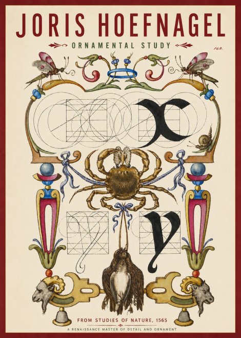 Joris Hoefnagel Ornamental Study II No3 - Affiche