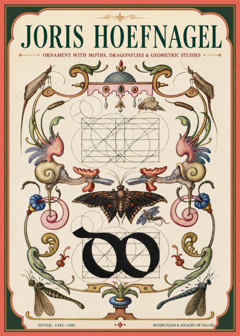 Joris Hoefnagel Ornament with Moths, Dragonflies & Geometric Studies No4 - Affiche