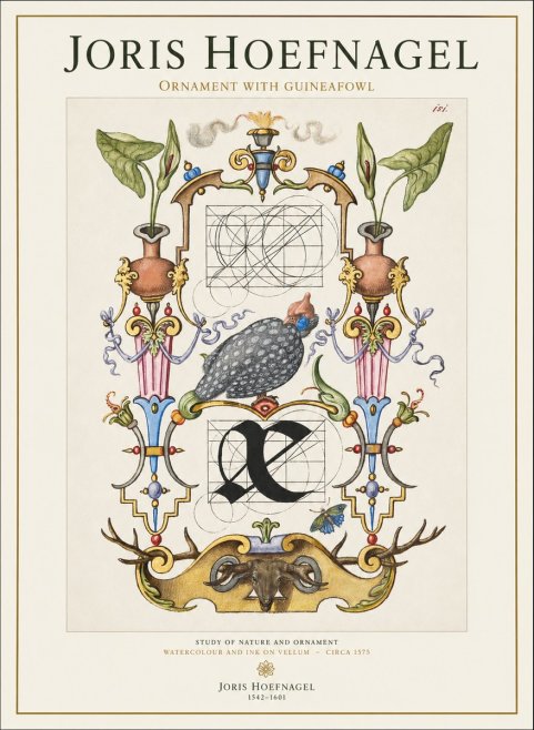Joris Hoefnagel Ornament with Guineafowl No1 - Affiche