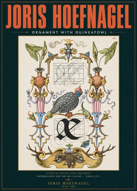 Joris Hoefnagel Ornament with Guineafowl No2 - Affiche