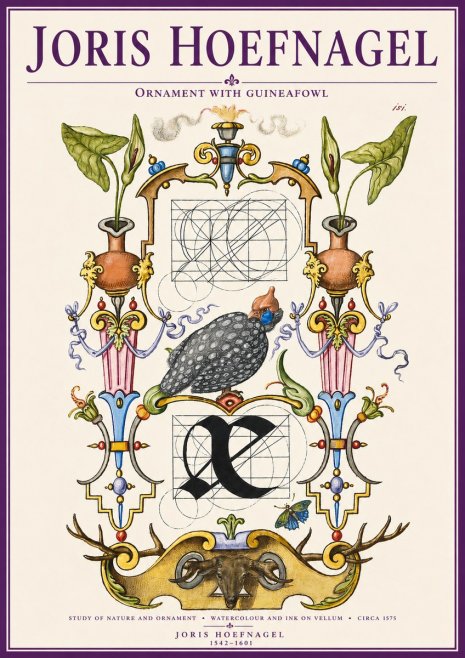 Joris Hoefnagel Ornament with Guineafowl No3 - Affiche