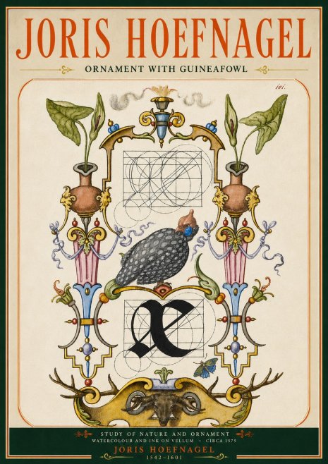 Joris Hoefnagel Ornament with Guineafowl No5 - Affiche