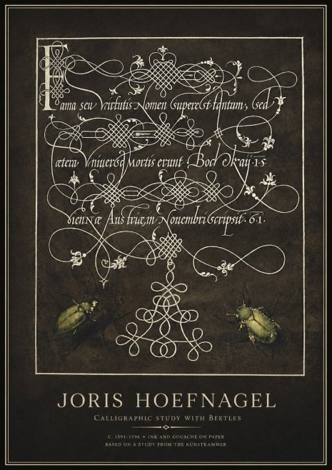 Joris Hoefnagel Calligraphic Study with Beetles No1 - Affiche