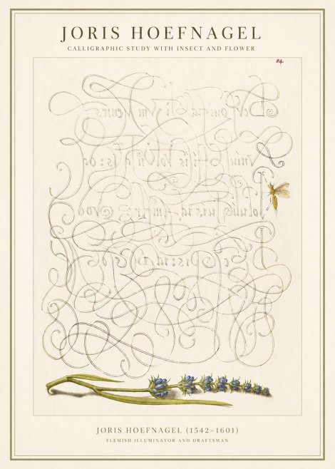 Joris Hoefnagel Calligraphic Study with Insect and Flower No1 - Affiche