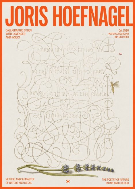 Joris Hoefnagel Calligraphic Study with Insect and Flower No6 - Affiche