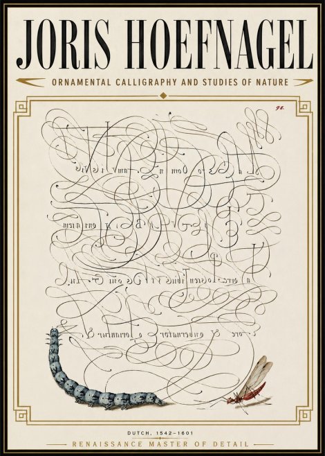 Joris Hoefnagel Ornamental Calligraphy and Studies of Nature No6 - Affiche