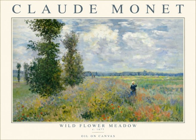 Monet Wild Flower Meadow No3 - Affiche