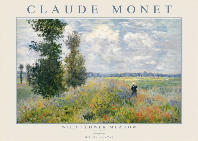 Monet Wild Flower Meadow No5 - Affiche