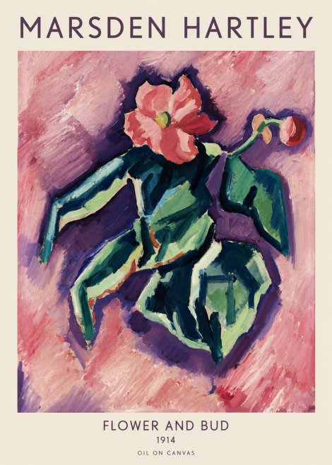 Marsden Hartley Flower and Bud No1 - Affiche