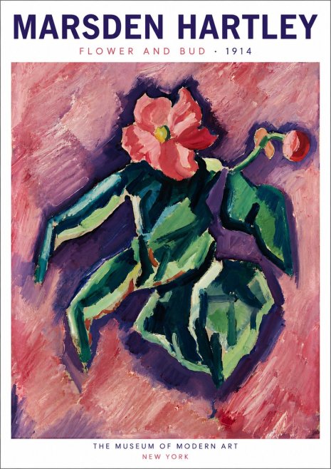 Marsden Hartley Flower and Bud No6 - Affiche