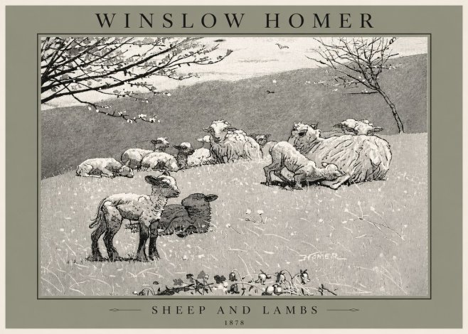 Winslow Homer Sheep and Lambs No2 - Affiche