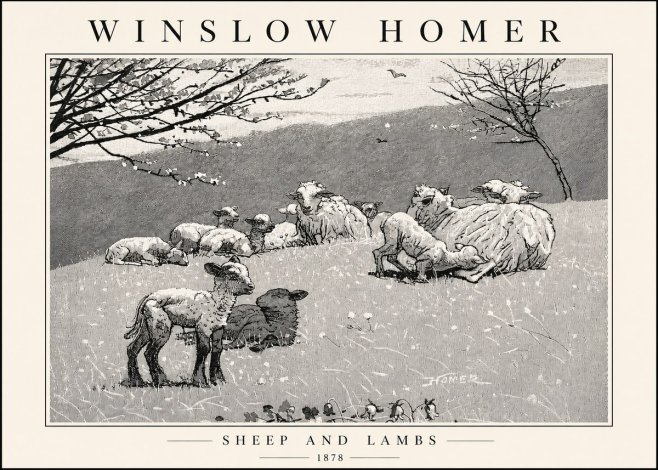 Winslow Homer Sheep and Lambs No4 - Affiche