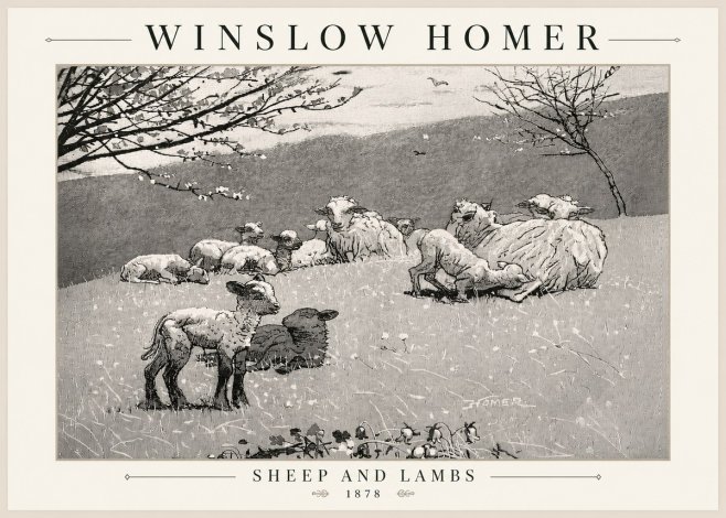 Winslow Homer Sheep and Lambs No5 - Affiche
