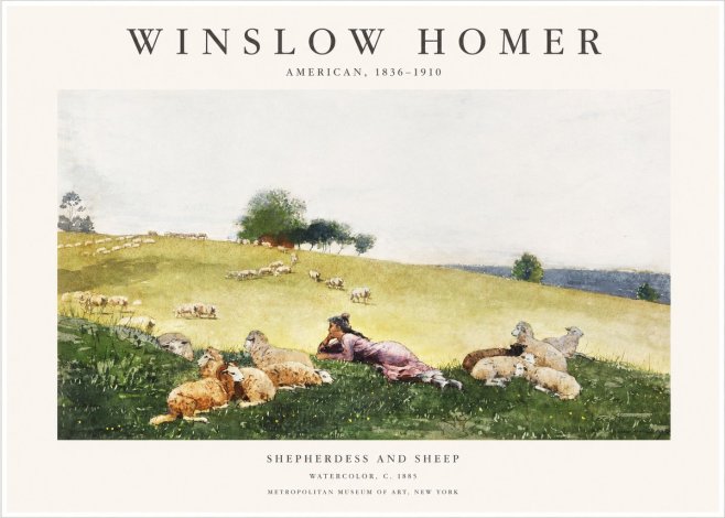 Winslow Homer Shepherdess and Sheep No1 - Affiche