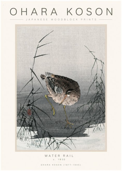 Ohara Koson Water Rail No1 - Affiche