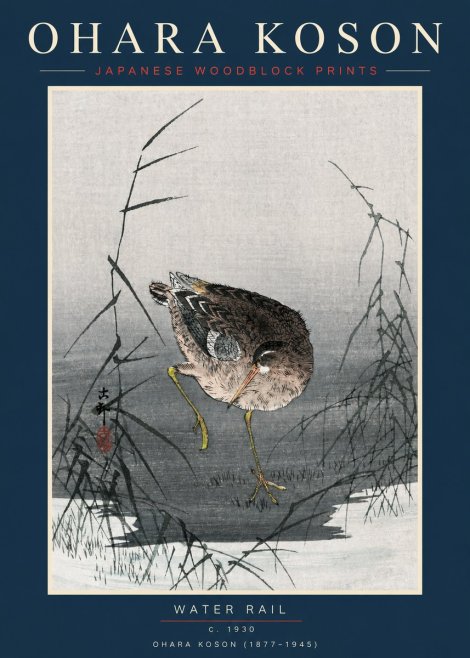 Ohara Koson Water Rail No2 - Affiche