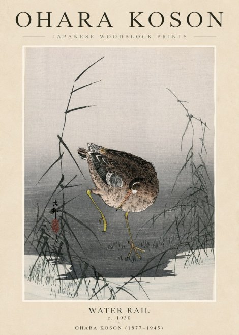 Ohara Koson Water Rail No3 - Affiche
