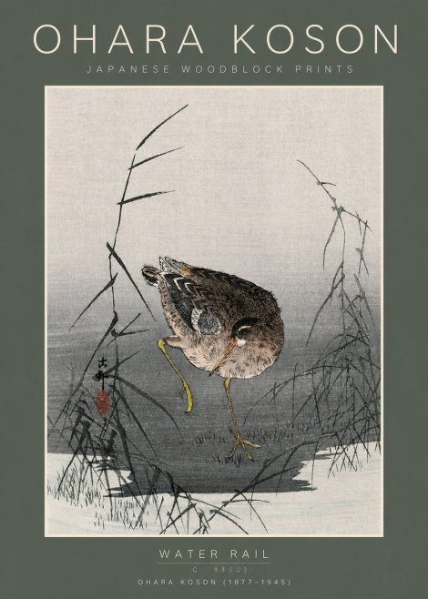 Ohara Koson Water Rail No5 - Affiche