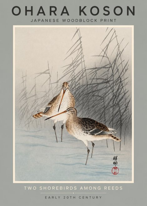 Ohara Koson Snipe in the Reeds No3 - Affiche