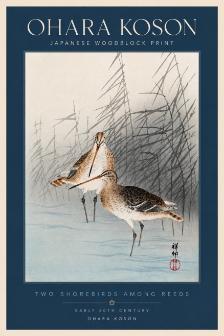 Ohara Koson Snipe in the Reeds No4 - Affiche