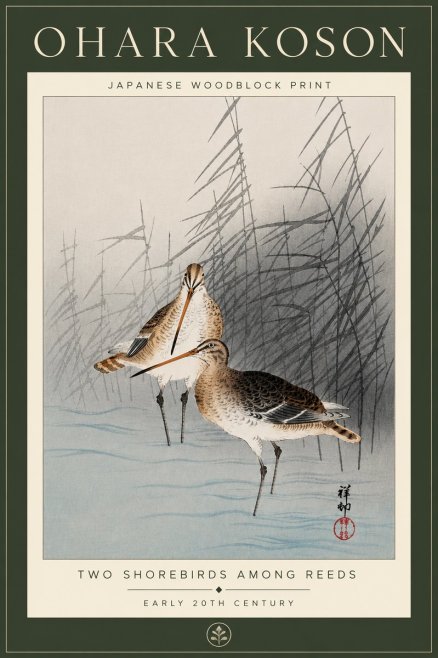 Ohara Koson Snipe in the Reeds No6 - Affiche