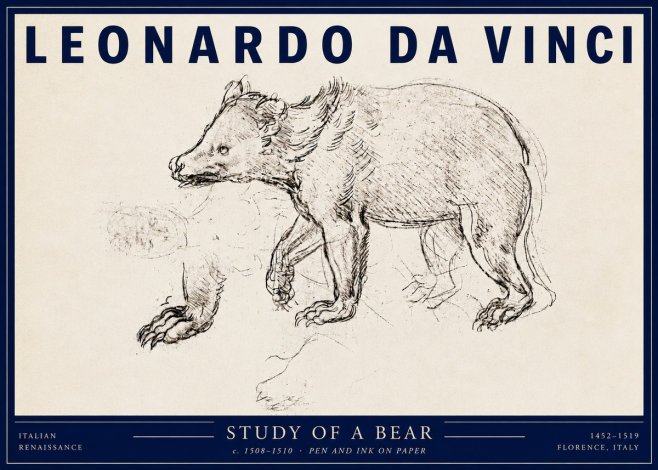 Leonardo da Vinci Study of a Bear No3 - Affiche