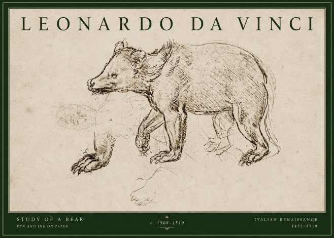 Leonardo da Vinci Study of a Bear No4 - Affiche