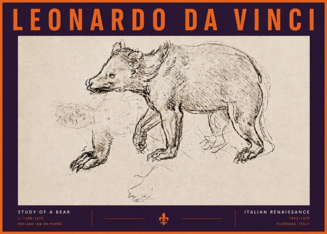 Leonardo da Vinci Study of a Bear No6 - Affiche
