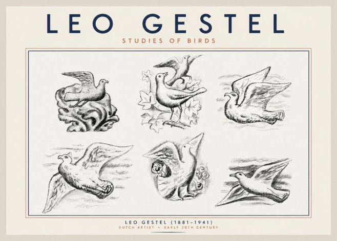 Leo Gestel Studies of Birds No2 - Affiche
