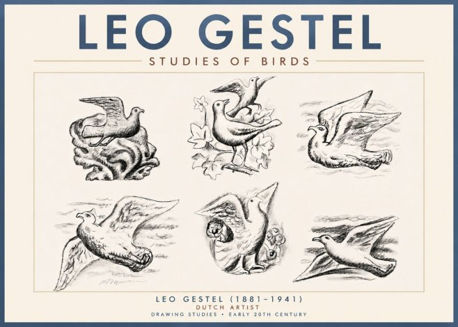 Leo Gestel Studies of Birds No4 - Affiche