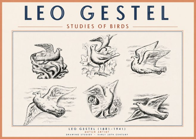 Leo Gestel Studies of Birds No6 - Affiche