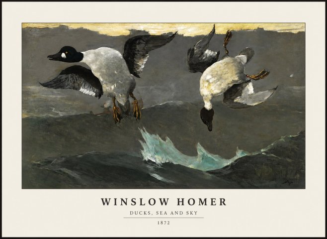 Winslow Homer Ducks, Sea and Sky No1 - Affiche