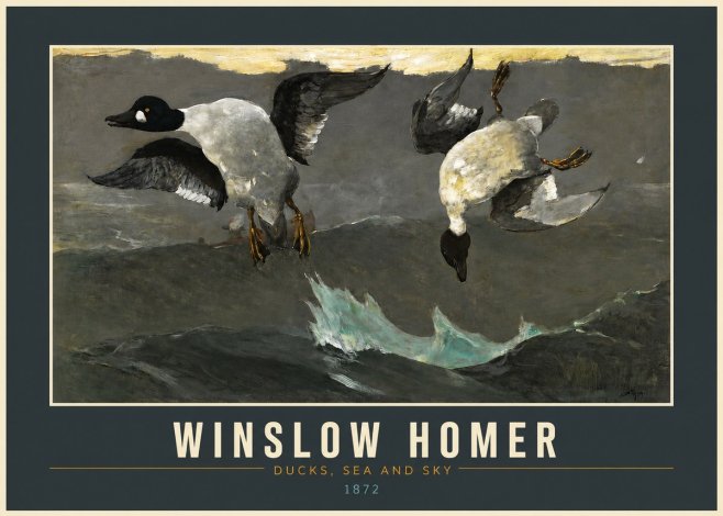 Winslow Homer Ducks, Sea and Sky No2 - Affiche