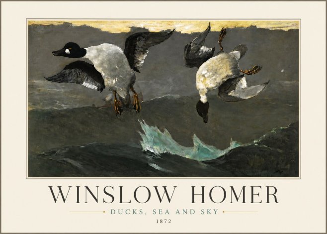 Winslow Homer Ducks, Sea and Sky No3 - Affiche