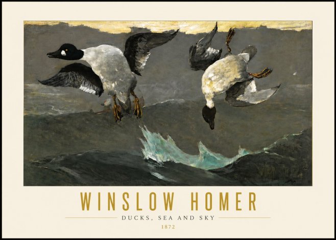 Winslow Homer Ducks, Sea and Sky No4 - Affiche