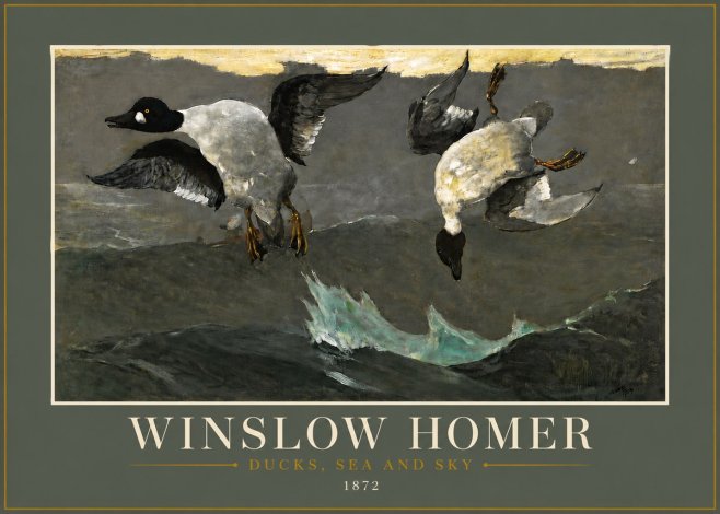 Winslow Homer Ducks, Sea and Sky No6 - Affiche