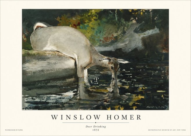 Winslow Homer Deer Drinking No1 - Affiche