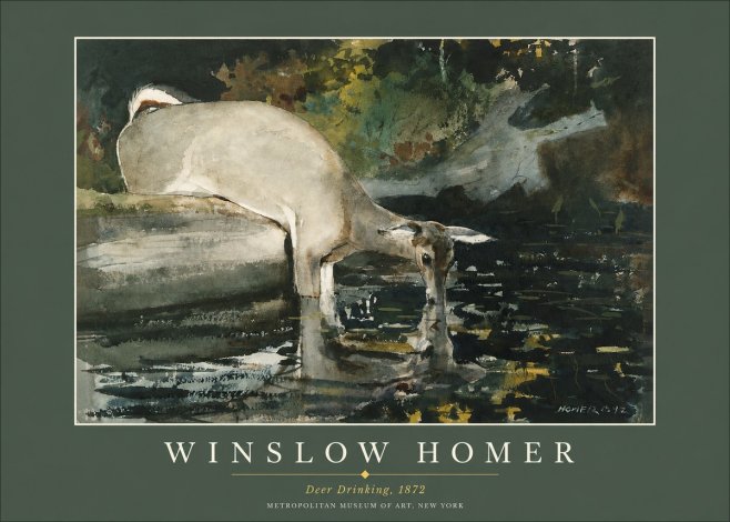 Winslow Homer Deer Drinking No2 - Affiche