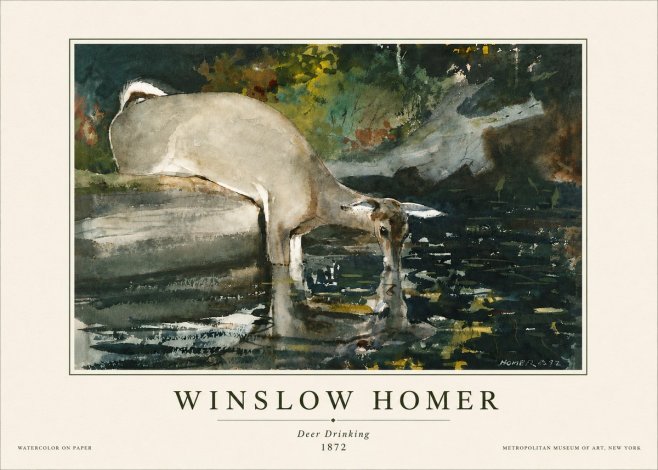 Winslow Homer Deer Drinking No5 - Affiche